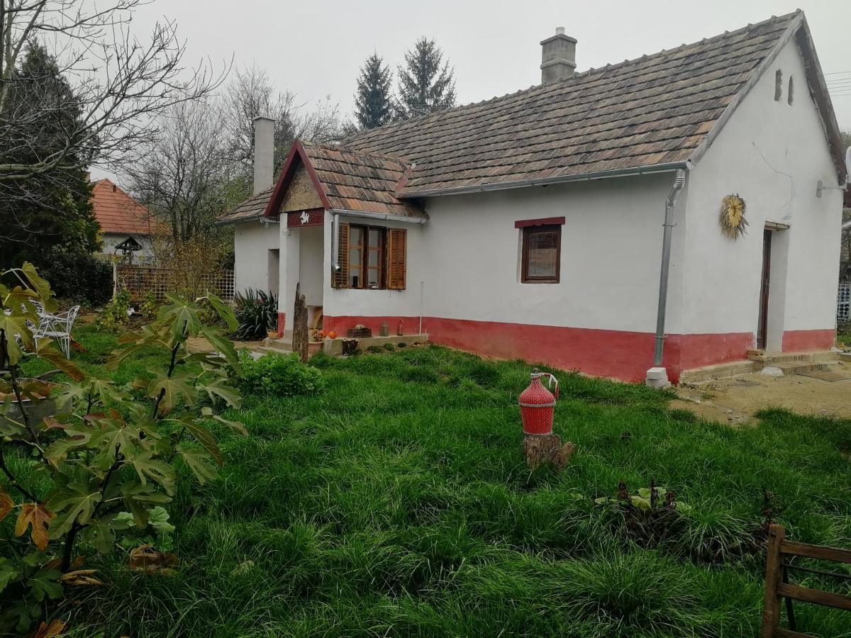 Traditionelles Bauernhaus Flieder Zalaszentgrót Kültér fotó