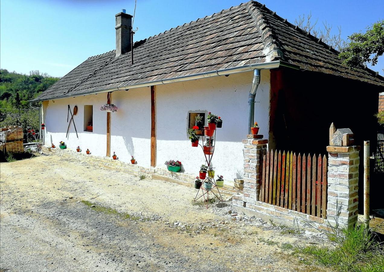 Traditionelles Bauernhaus Flieder Zalaszentgrót Kültér fotó